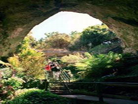 Engelbrecht Cave - Accommodation VIC 0