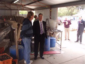 Southern Yorke Oysters - Accommodation VIC 0