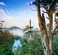 Tahune Adventures Tasmania - Accommodation VIC