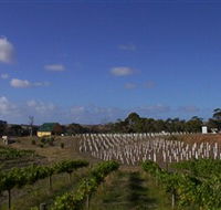 Deep Creek Wines and Alpacas - Accommodation VIC