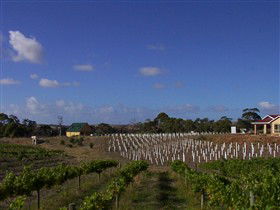 Deep Creek Wines And Alpacas - Accommodation VIC 0