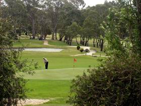 Mount Barker-Hahndorf Golf Club - Accommodation VIC 0