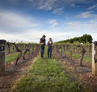 Coonawarra Wineries Walking Trail - Accommodation VIC