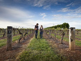 Coonawarra Wineries Walking Trail - Accommodation VIC 0