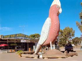 The Big Galah - Accommodation VIC 0