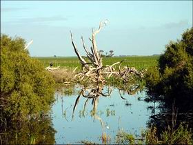 Bool Lagoon Game Reserve And Hacks Lagoon Conservation Park - Accommodation VIC 0