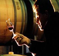 Salena Estate Wines - Accommodation VIC