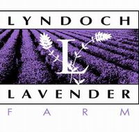 Lyndoch Lavender Farm and Cafe - Accommodation VIC