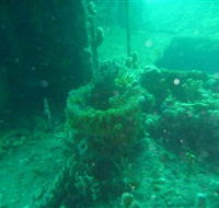 Wallaroo Scuba Club - Accommodation VIC