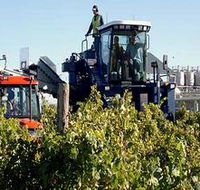 Ballast Stone Estate Wines Pty Ltd - Accommodation VIC
