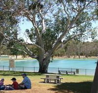 Naracoorte Nature Park and Swimming Lake - Accommodation VIC