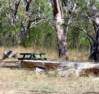 Penola Conservation Park - Accommodation VIC