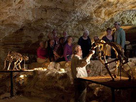 Naracoorte Caves National Park - Accommodation VIC 0