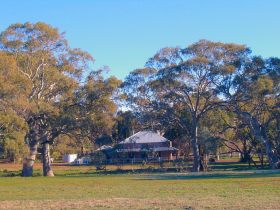 Old Wilpena Station - Accommodation VIC 0