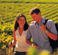 Lady Bay Vineyard - Accommodation VIC