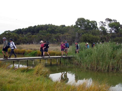 Lavender Federation Trail - Accommodation VIC 1