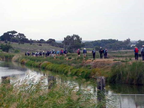Lavender Federation Trail - Accommodation VIC 2
