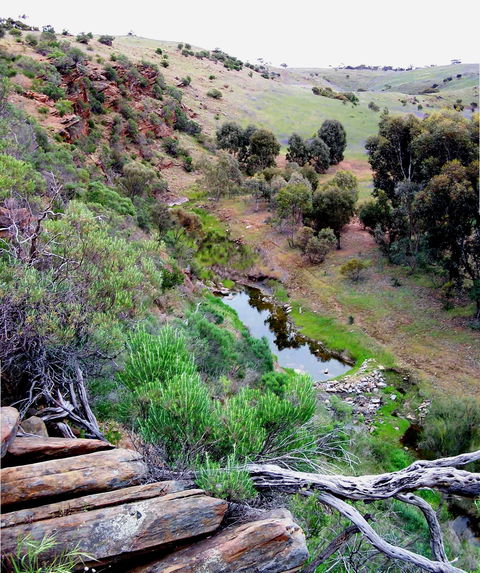 Lavender Federation Trail - Accommodation VIC 3