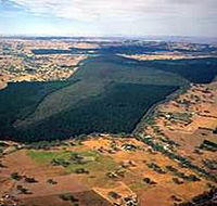 Mount Crawford Forest Reserve - Accommodation VIC