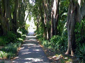 Adelaide Botanic Garden - Accommodation VIC 0