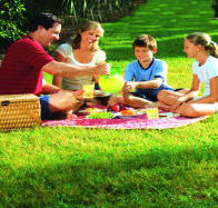 Bruny Island Berry Farm - Accommodation VIC