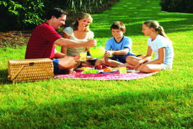 Bruny Island Berry Farm - Accommodation VIC 0