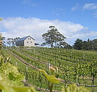Bruny Island Premium Wines Bar and Grill - Accommodation VIC
