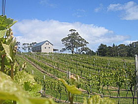 Bruny Island Premium Wines Bar And Grill - Accommodation VIC 0