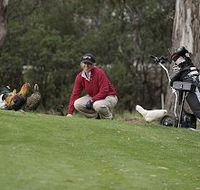 Tasmania Golf Club - The - Accommodation VIC