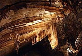 Gunns Plains Cave - Accommodation VIC 0