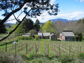 Wilmot TAS Accommodation VIC