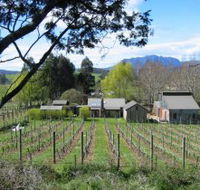 Wilmot Hills Vineyard - Accommodation VIC