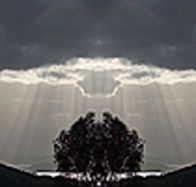 aart. Gallery of Fine Art - Accommodation VIC