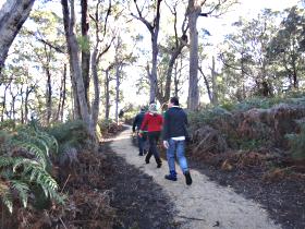 Bridport TAS Accommodation VIC