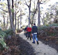 Bridport Walking Track - Accommodation VIC