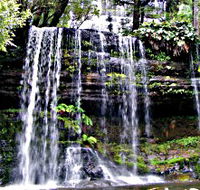Mt Field National Park - Accommodation VIC