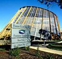 Forest EcoCentre - Accommodation VIC