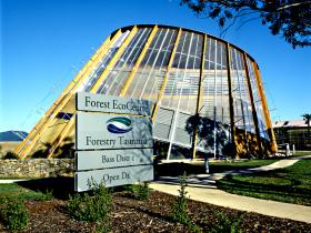 Forest EcoCentre - Accommodation VIC 0