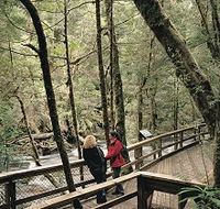 Franklin River Nature Trail - Accommodation VIC