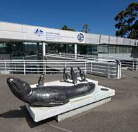 Australia's Antarctic Headquarters - Accommodation VIC