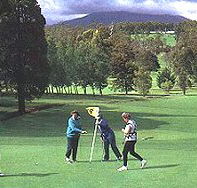 Deloraine Golf Course - Accommodation VIC