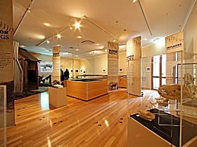Tasmanian Tiger Exhibition - Accommodation VIC 0