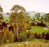 The Tasmanian Arboretum - Accommodation VIC