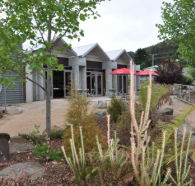 Tin Dragon Interpretation Centre and Cafe - Accommodation VIC
