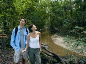 Mooloolah River National Park, Jowarra Section - Accommodation VIC 0