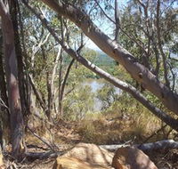Black Mountain - Accommodation VIC