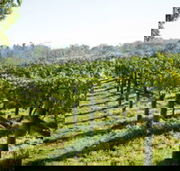 Surveyor's Hill Vineyards - Accommodation VIC