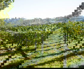 Surveyor's Hill Vineyards - Accommodation VIC 0