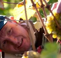 Puddleduck Vineyard - Accommodation VIC