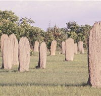Magnetic Termite Mounds - Accommodation VIC